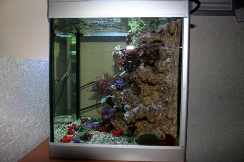 Nano Meerwasseraquarium